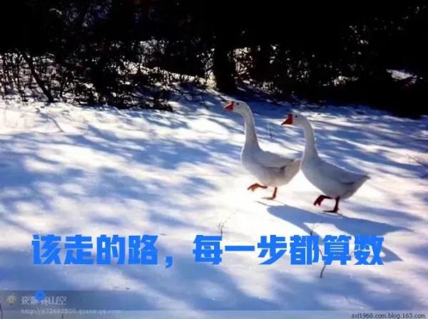 成年人的世界，誰都不容易，該走的路，一步都不能少