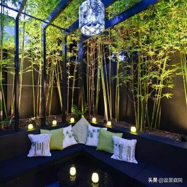 家有竹園，這才是極具風雅之事