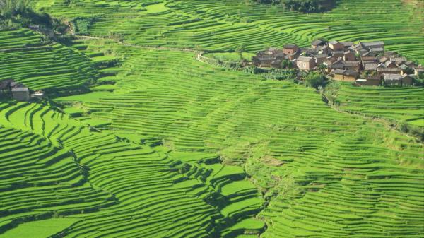 1988年,雲南83歲老兵走出深山,逢人就問:日本人打到哪裡了? 1988年,雲南83歲老兵走出深山,逢人就問:日本人打到哪裡了?