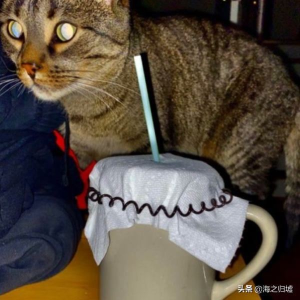 26個來自網友們的生活妙招，看完默默豎起了大拇指