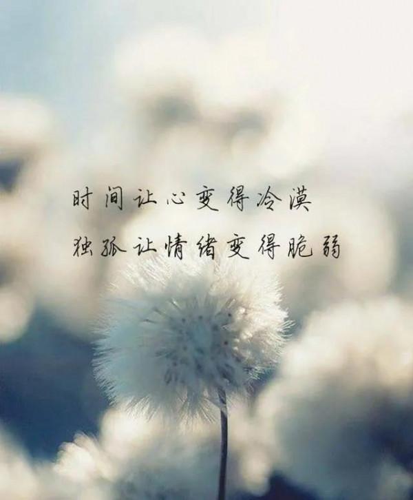 願目之所及,皆是暖意,心之所向,滿是陽光 願目之所及,皆是暖意,心之所向,滿是陽光