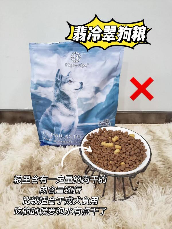 2021狗糧測評｜壞糧原來這麼多