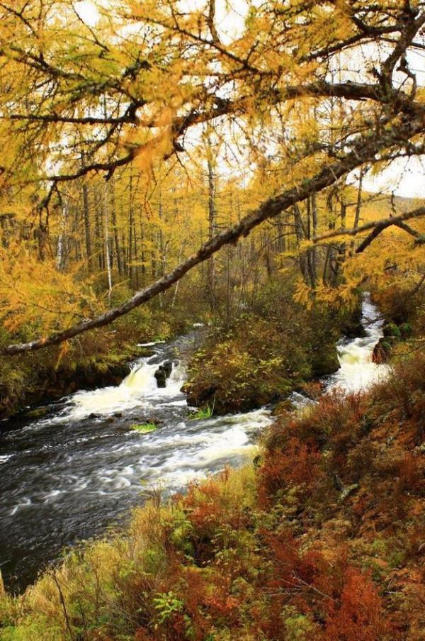 阿爾山的秋天，風景如畫，旖旎怡然，這才是秋天該有的樣子