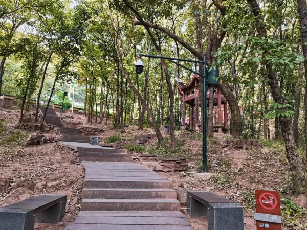 爬個瀘山居然累成一攤爛泥