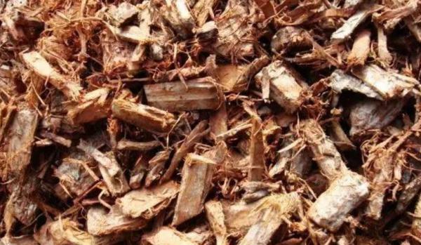 害怕土壤結塊？不用愁，將這些“養花好物”改造下，問題全解決