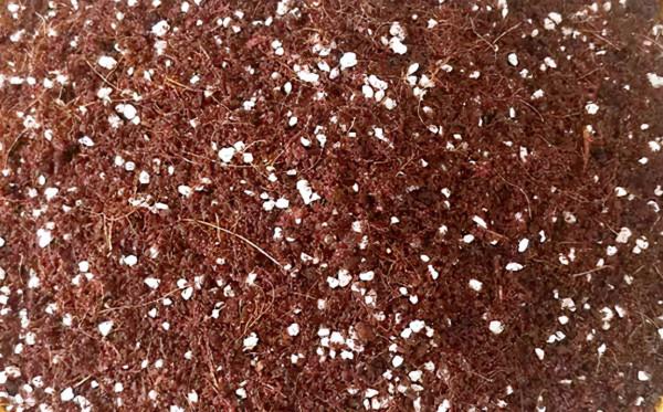 售價上百元的養花土,在家就能自己配,一點都不比買來的差 售價上百元的養花土,在家就能自己配,一點都不比買來的差