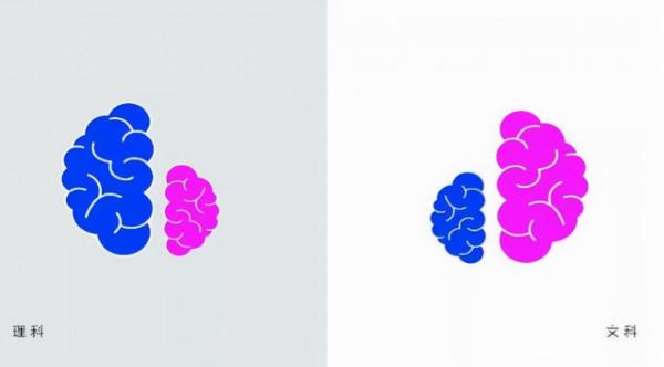 “文科生”VS“理科生”，日常行為詮釋差別，網友：真實且扎心