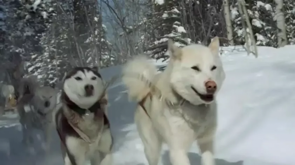 最美的電影，看完整個人都舒服了