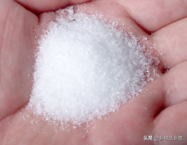 別再把磷酸二氫鉀只當成肥料，它有五大作用，掌握了效果神奇