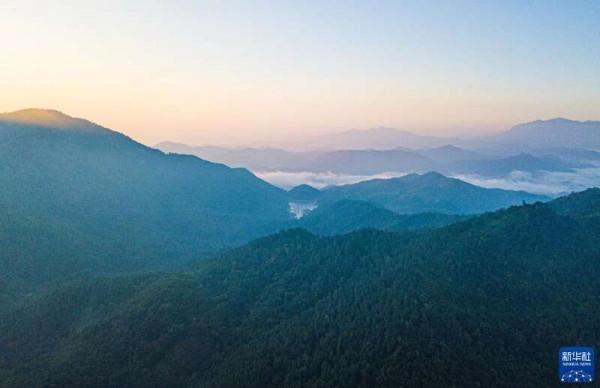 “飛閱”海南熱帶雨林國家公園 “飛閱”海南熱帶雨林國家公園