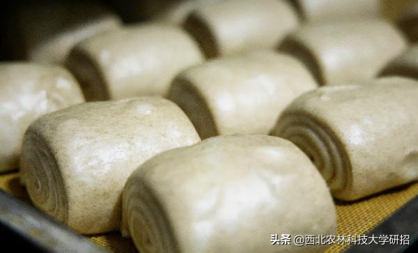 央視“點名”關注!陝西這所高校的全魚宴、巧克力饅頭饞哭網友 央視“點名”關注!陝西這所高校的全魚宴、巧克力饅頭饞哭網友