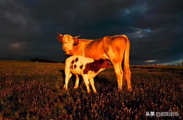 山西,為什麼如此重要? 山西,為什麼如此重要?