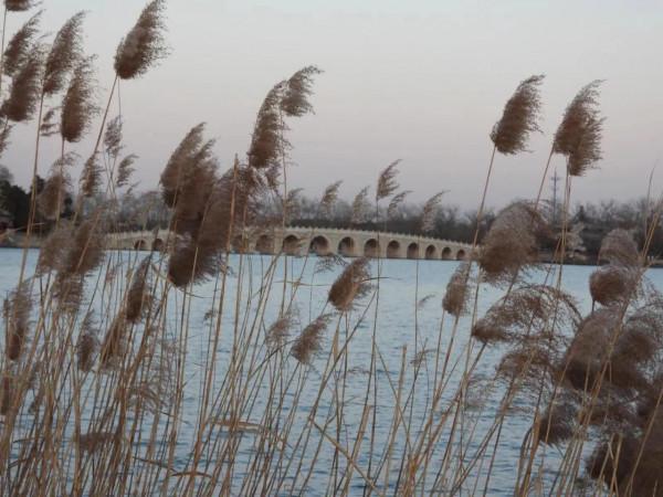 初冬頤和園 西堤觀六橋