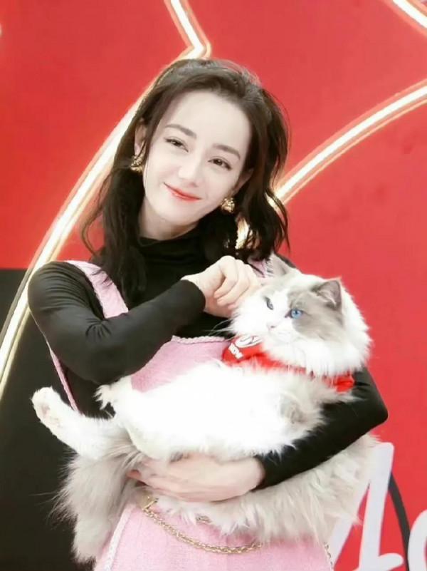 12.6圖：趙文卓、迪麗熱巴、關曉彤、楊洋、謝霆鋒、丁真、THE9