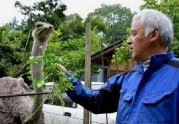 日本老人居住核洩漏區,照顧變異動物6年,有人卻希望他早點過世 日本老人居住核洩漏區,照顧變異動物6年,有人卻希望他早點過世
