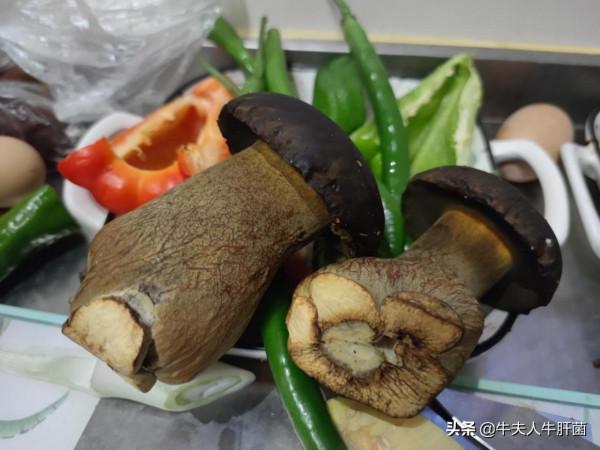 關於假期最後一天飲食這件事，有幾個細節你不得不重視