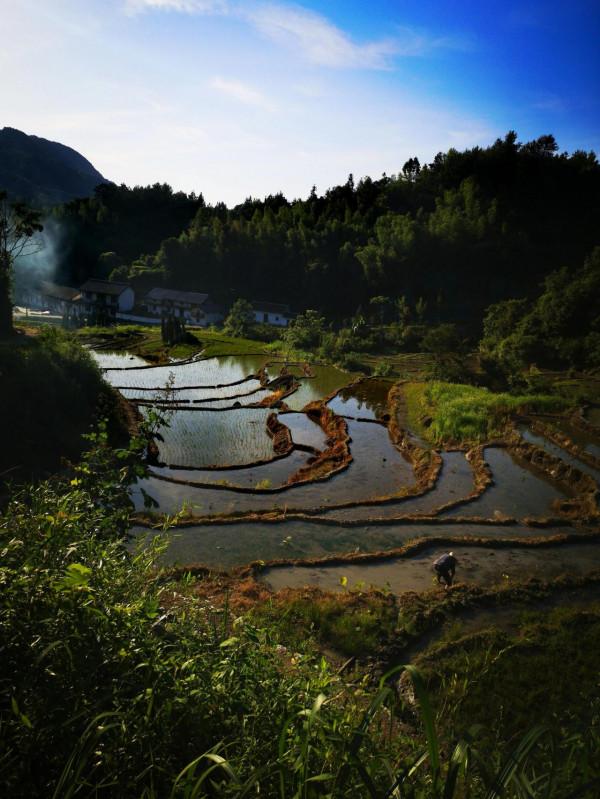 陳寅恪故里的風景(2021/06/05-07) 陳寅恪故里的風景(2021/06/05-07)