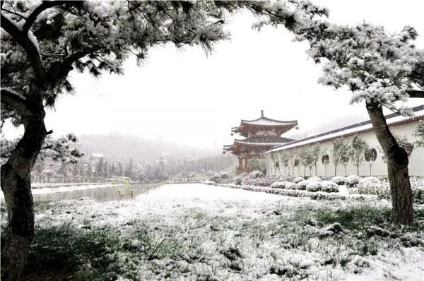 翔海森林小鎮：冬季到龍口來看雪，美哭嘞