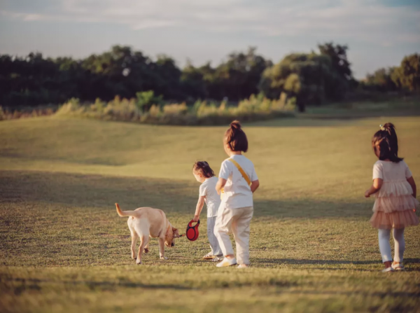新挖到&quot;國內版小鎌倉&quot;！打卡火爆全網孤獨圖書館，人少景美趕緊去
