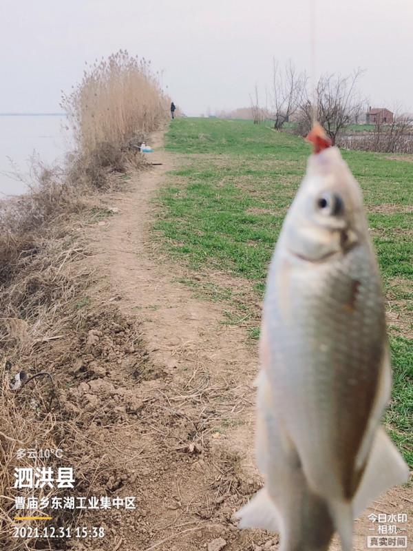 首次體驗冰窟釣魚，收竿時魚口還是那麼暴躁