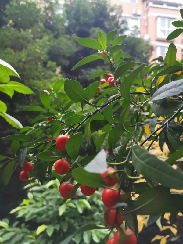 又到冬季，盤點打理一下這方寸間