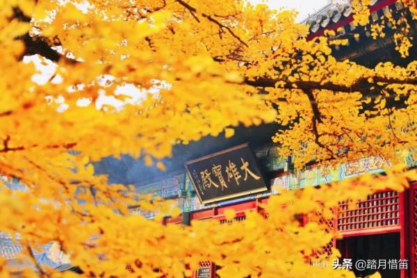 如果沒有疫情，此刻我勸你一定要去一趟北京...