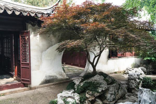 聊齋故事：前世冤孽