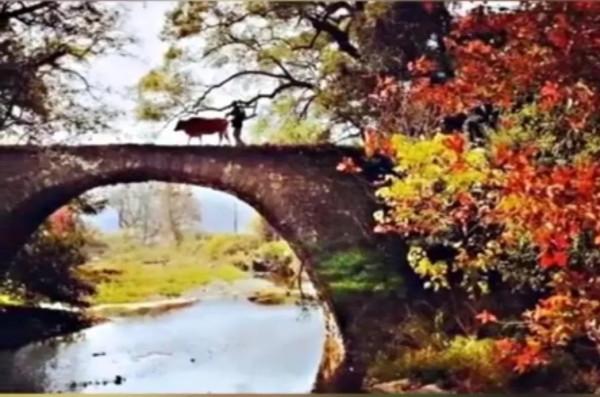 七律· 壟 上 行