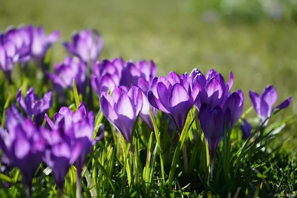 愛上閱讀 是一輩子的享受