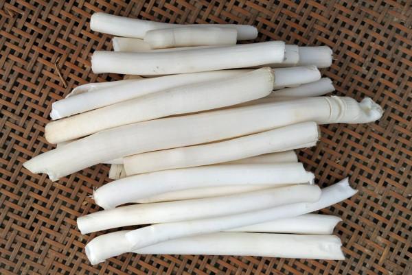 山區這七種野生藥材市場需求大，進行人工種植效益高