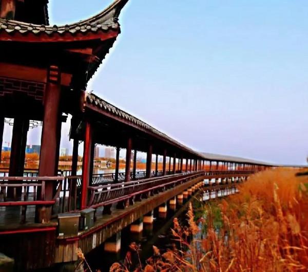 西北塞上江南——秋天