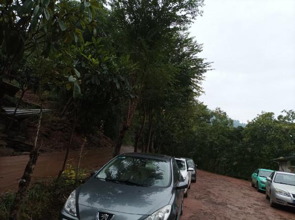 二戰水庫同樣被小趴虎教育，是釣位問題還是資源不好？