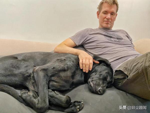 狗狗也要過萬聖節！寵物狗化身為《魷魚遊戲》中的木頭人鬼娃