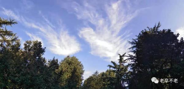 我曾有一間草房子