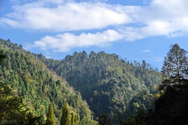 建國初期,廣西、廣東兩省匪患猖獗,陳明仁率兵將其逐個擊破 建國初期,廣西、廣東兩省匪患猖獗,陳明仁率兵將其逐個擊破