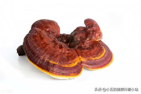 聊一聊治療穩定性心絞痛的中成藥——養心氏片 聊一聊治療穩定性心絞痛的中成藥——養心氏片