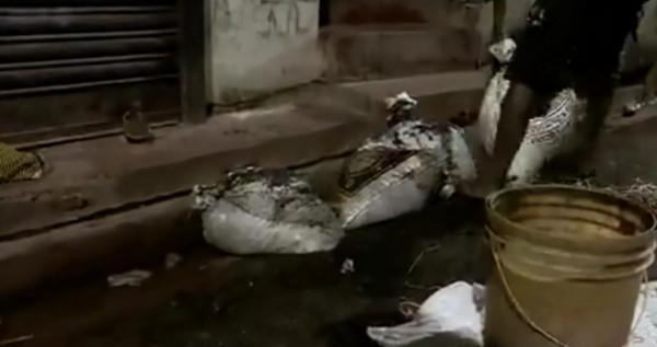 印度下水道都是黃金!小夥靠著掏下水道,賺得盆滿缽滿 印度下水道都是黃金!小夥靠著掏下水道,賺得盆滿缽滿