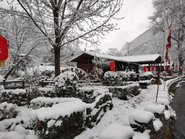雪落文縣白馬山寨～風景美如畫