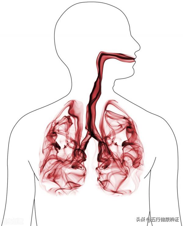 喉通於天，咽通於地！咽喉不好，身體也不好！中醫教你調肝解鬱