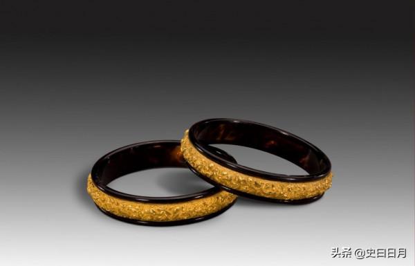 行走的寶石玳瑁，因為甲殼過於美麗，以至招來殺身之禍