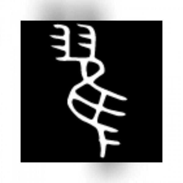 漢語中的“隹”字（3）