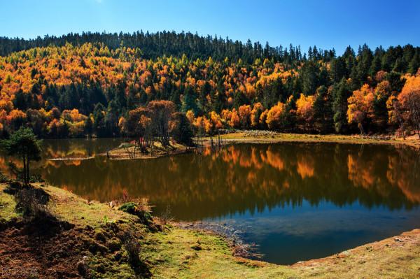 雲南這幾個地方的美景,才是深秋的正確開啟方式,絕美而又低調 雲南這幾個地方的美景,才是深秋的正確開啟方式,絕美而又低調