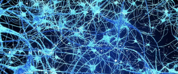 植有活腦細胞培養的神經元 擁有“人類智慧”的全球首款有“思想”的機器人誕生 植有活腦細胞培養的神經元 擁有“人類智慧”的全球首款有“思想”的機器人誕生