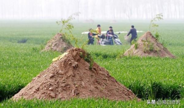 農村“舊墳”限期拆除，全國整治墳頭行動開始？今後不能隨意下葬