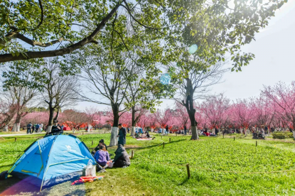 兒童城堡免費耍！還有可愛萌寵和超大草坪，公交直達，遛娃必去