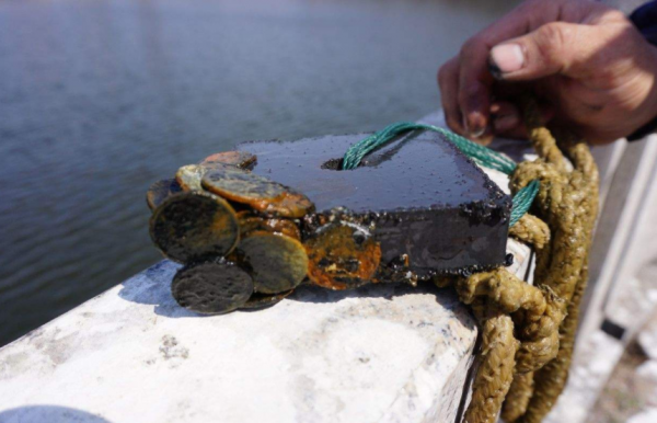 印度的致富鬼才：用繩子綁個磁鐵在恆河撈硬幣，賺大發了！紀錄片