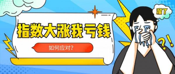 為何你賺了指數卻虧了錢？