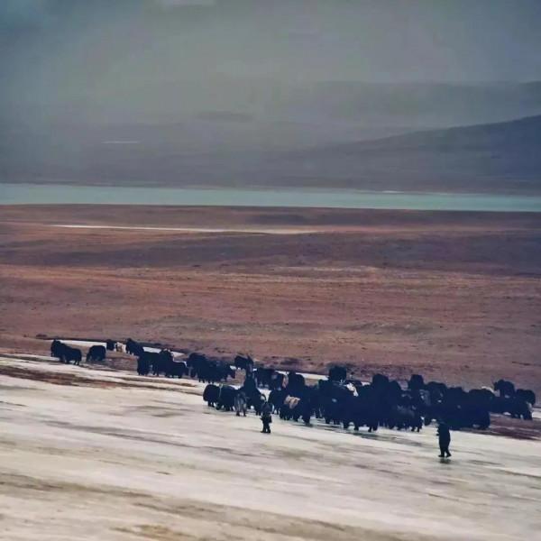 美哉，中華&mdash;&mdash;五部瞭解中國大好河山的經典紀錄片