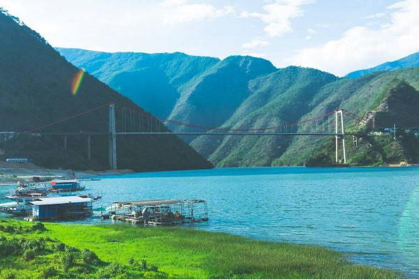 2009年老闆投入6000萬尾魚苗，魚集體失蹤，4年後靠魚年收3000萬