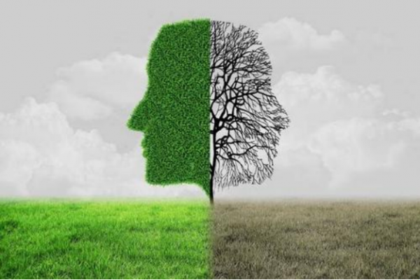 生物類、語言類、車輛工程等，十大尷尬專業，就業情況分析